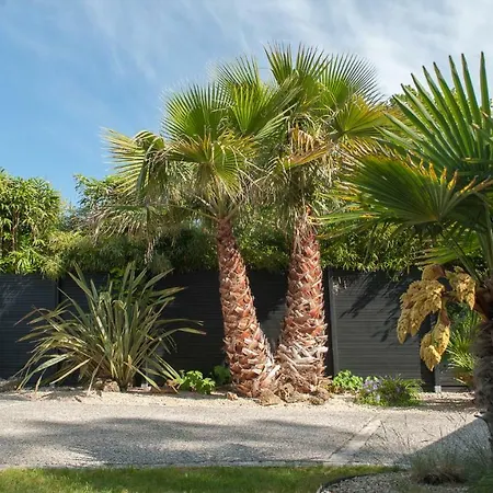 Des Bragauds Rivedoux-Plage